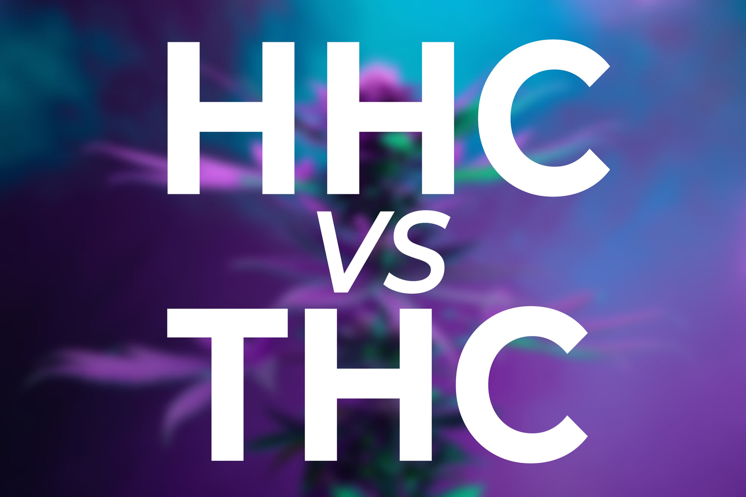 HHC vs THC: Which is Better?