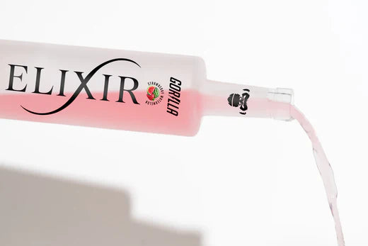 Meet Elixir, Your New Favorite Drink for Your New Year’s Goals